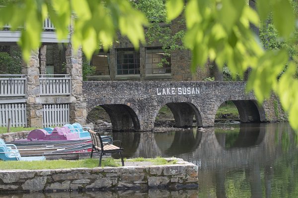 View of Lake Susan bridge.