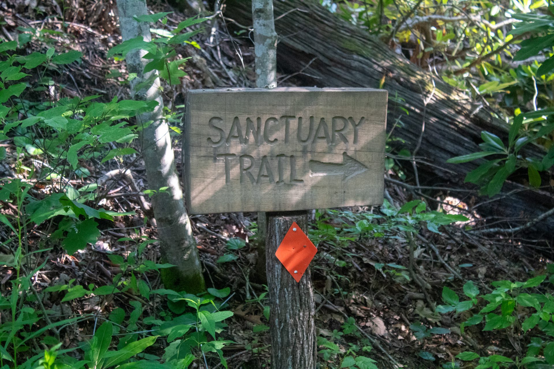 publichike25-0001-web