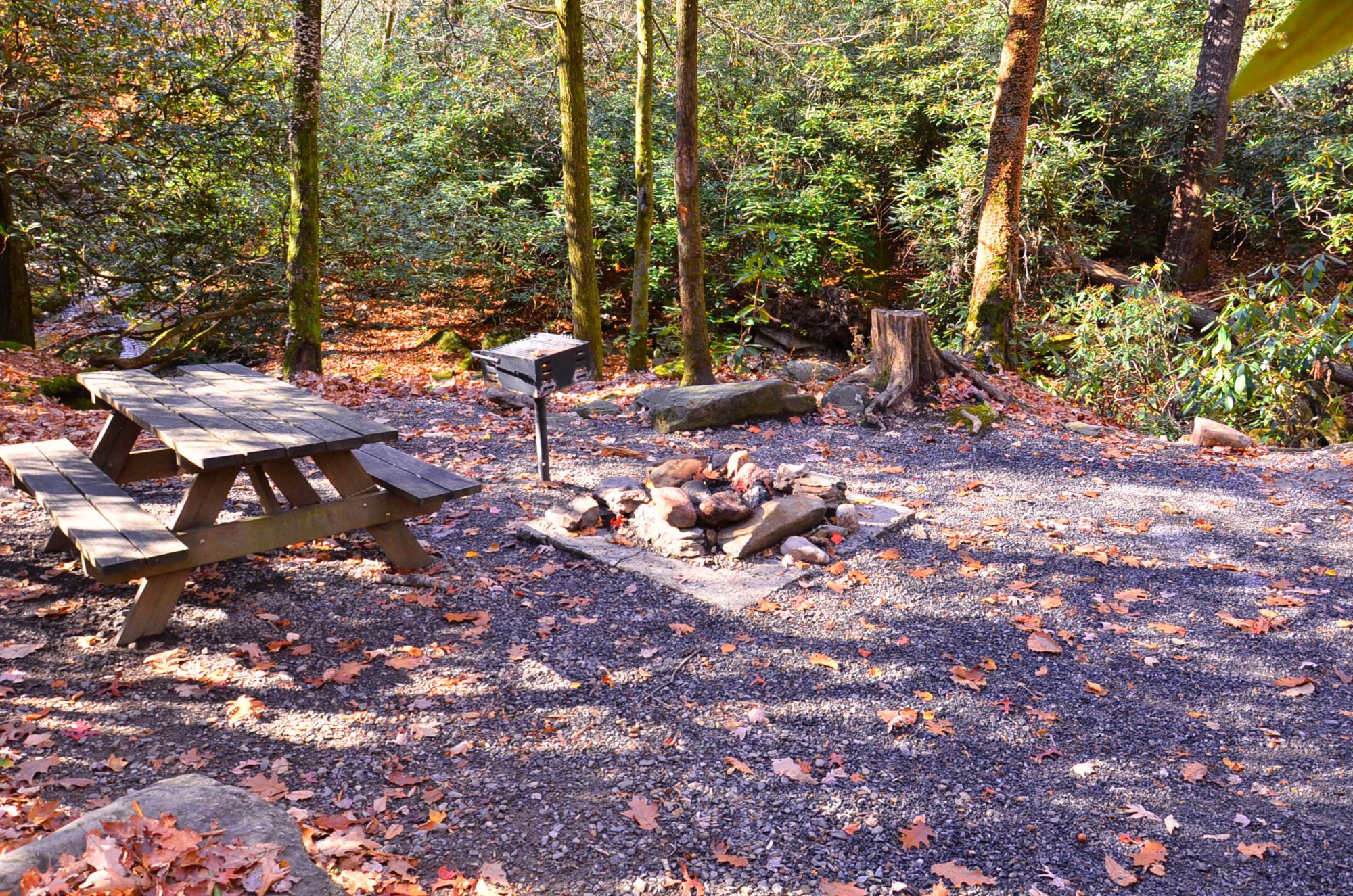 Montreat Conference Center campgrounds in the Fall.